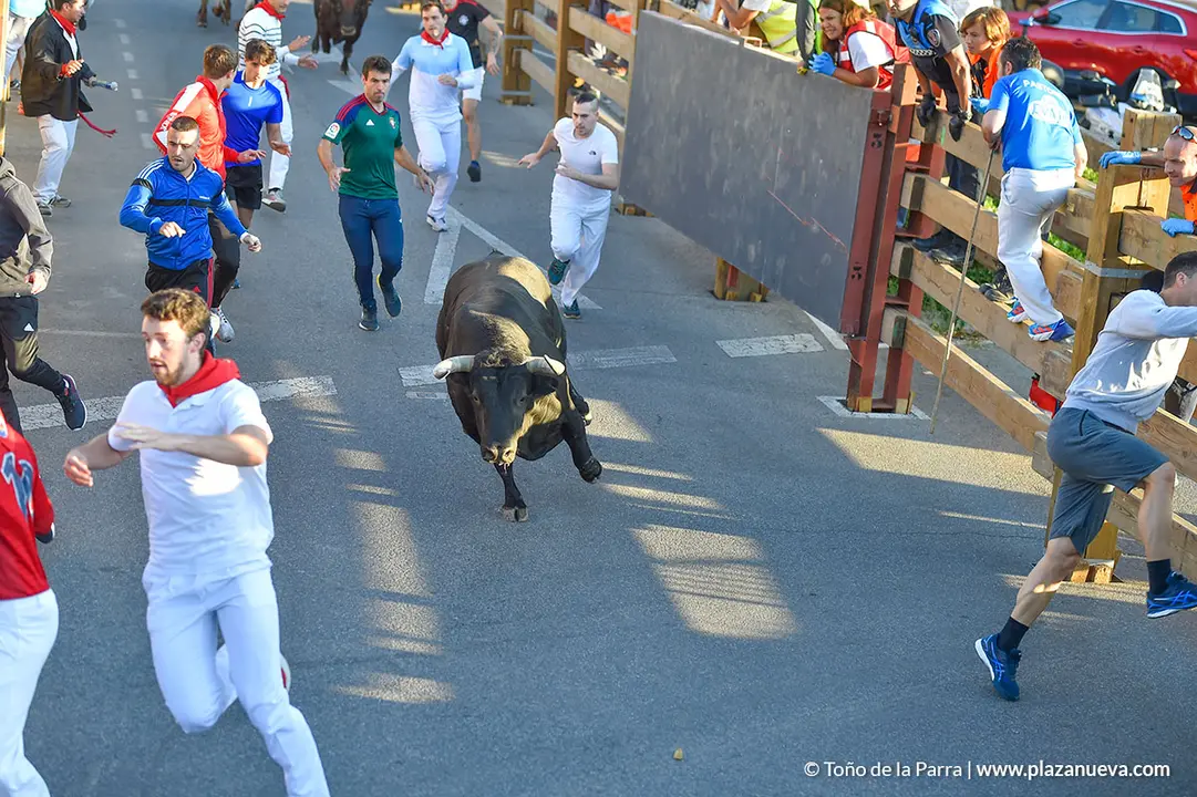 Encierro d&iacute;a 30, Fiestas de Tudela 2022 - 10