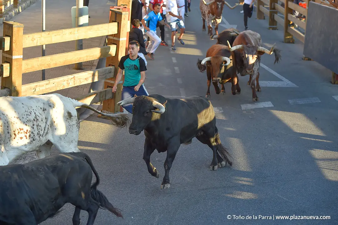 Encierro d&iacute;a 30, Fiestas de Tudela 2022 - 12