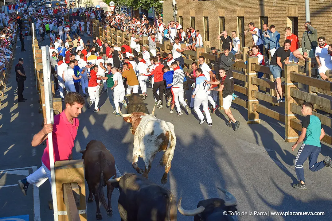 Encierro d&iacute;a 30, Fiestas de Tudela 2022 - 13