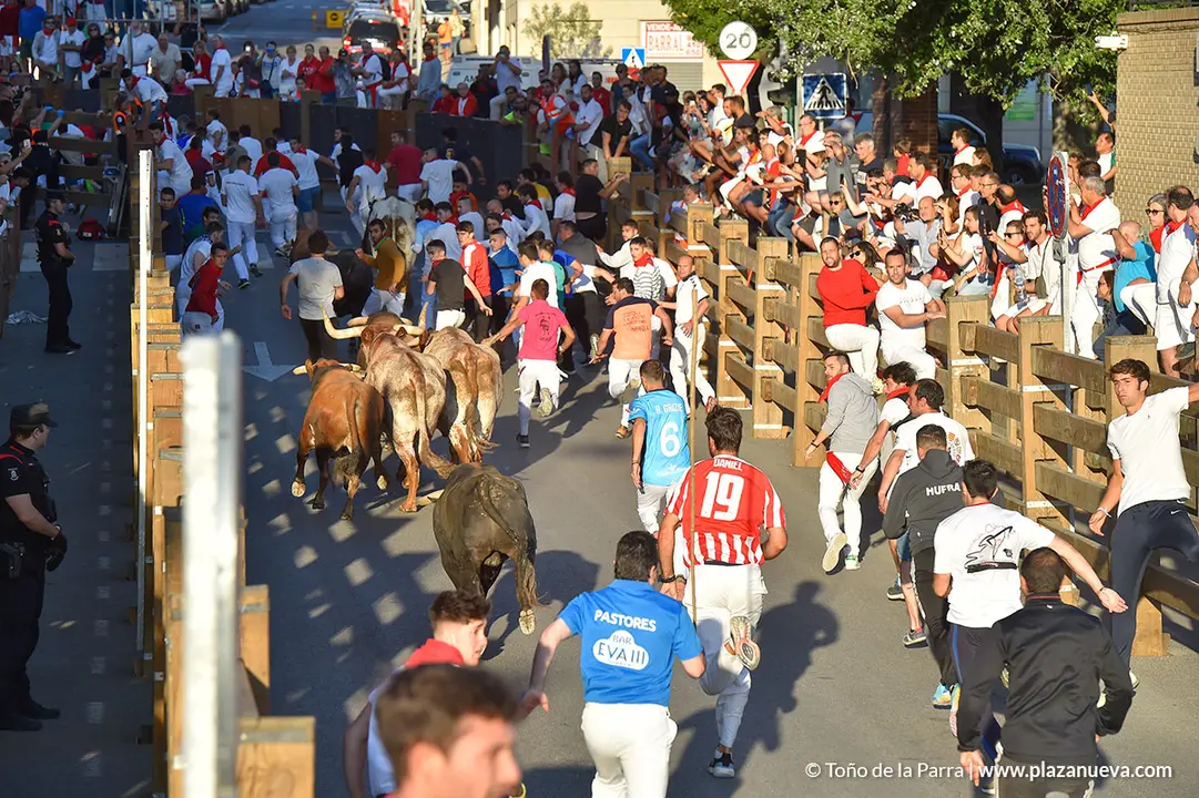 Encierro d&iacute;a 30, Fiestas de Tudela 2022 - 14