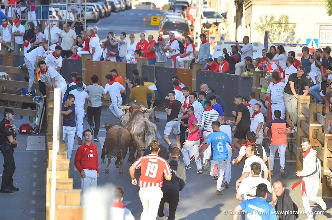 Encierro d&iacute;a 30, Fiestas de Tudela 2022 - 15