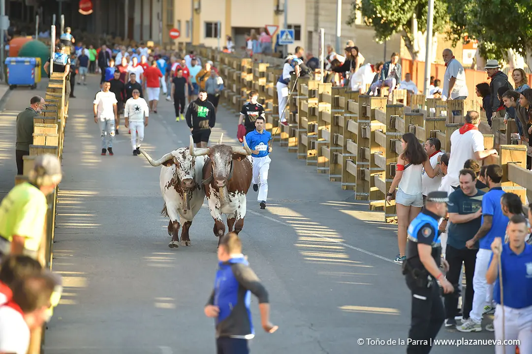 Encierro d&iacute;a 30, Fiestas de Tudela 2022 - 16
