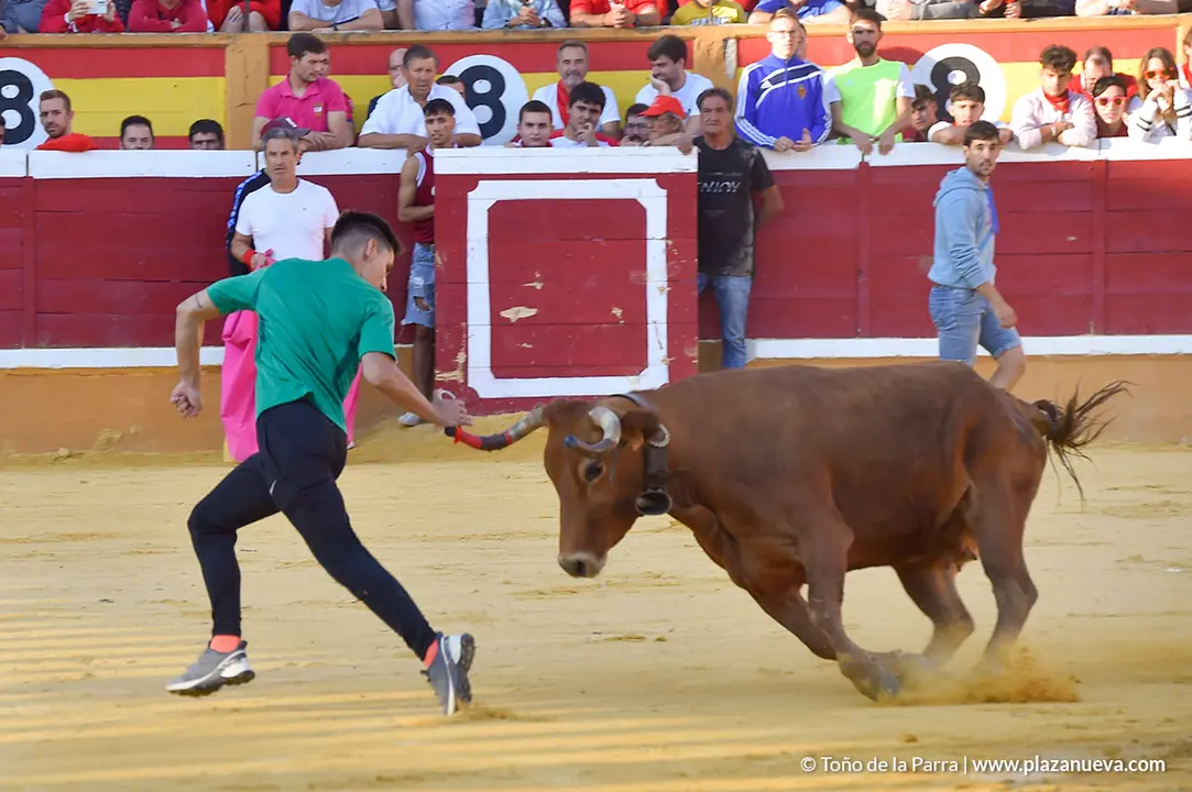 Encierro d&iacute;a 30, Fiestas de Tudela 2022 - 17