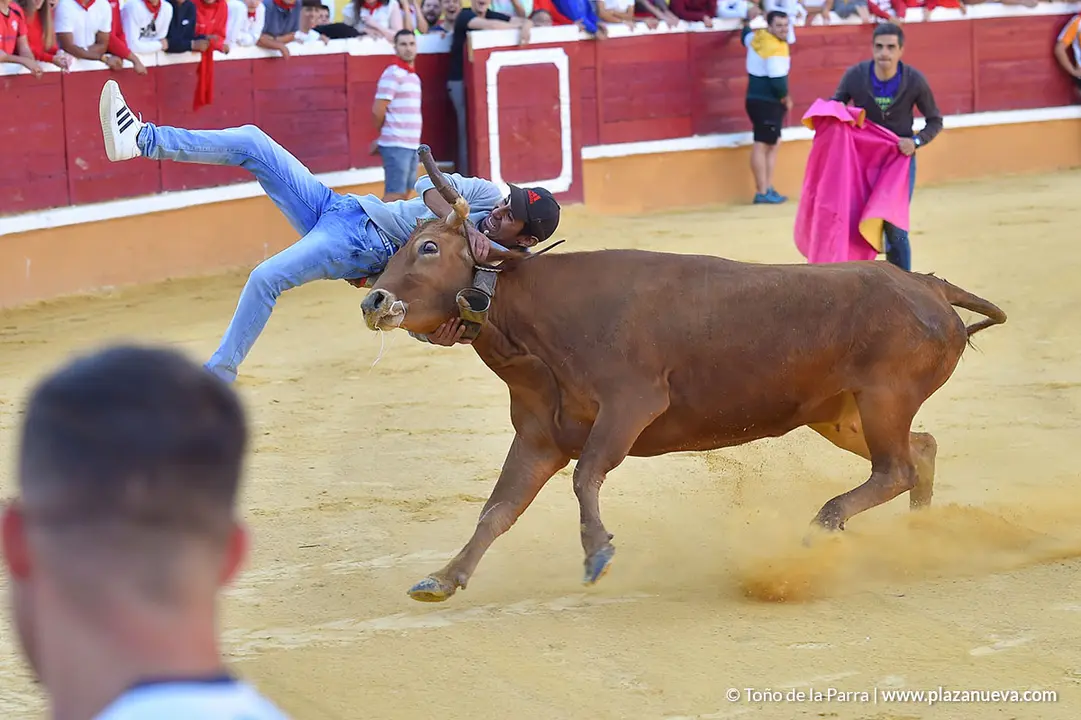 Encierro d&iacute;a 30, Fiestas de Tudela 2022 - 18
