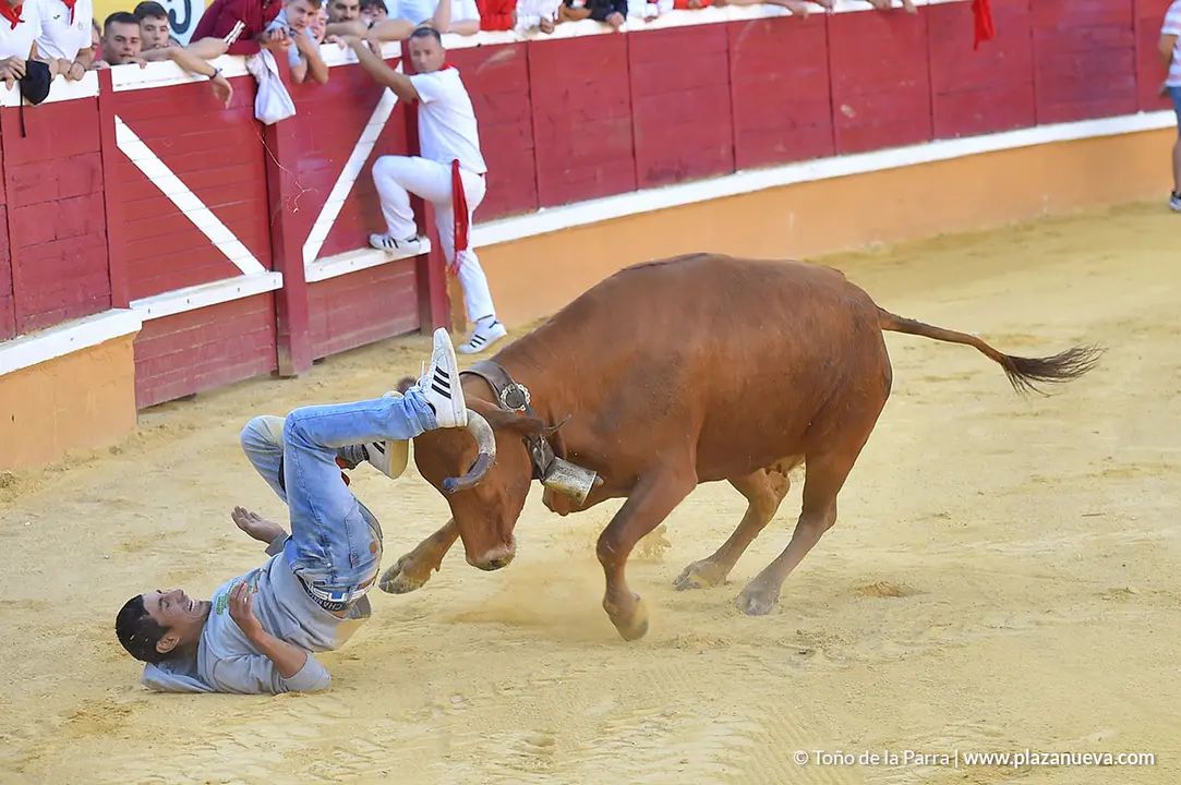 Encierro d&iacute;a 30, Fiestas de Tudela 2022 - 20