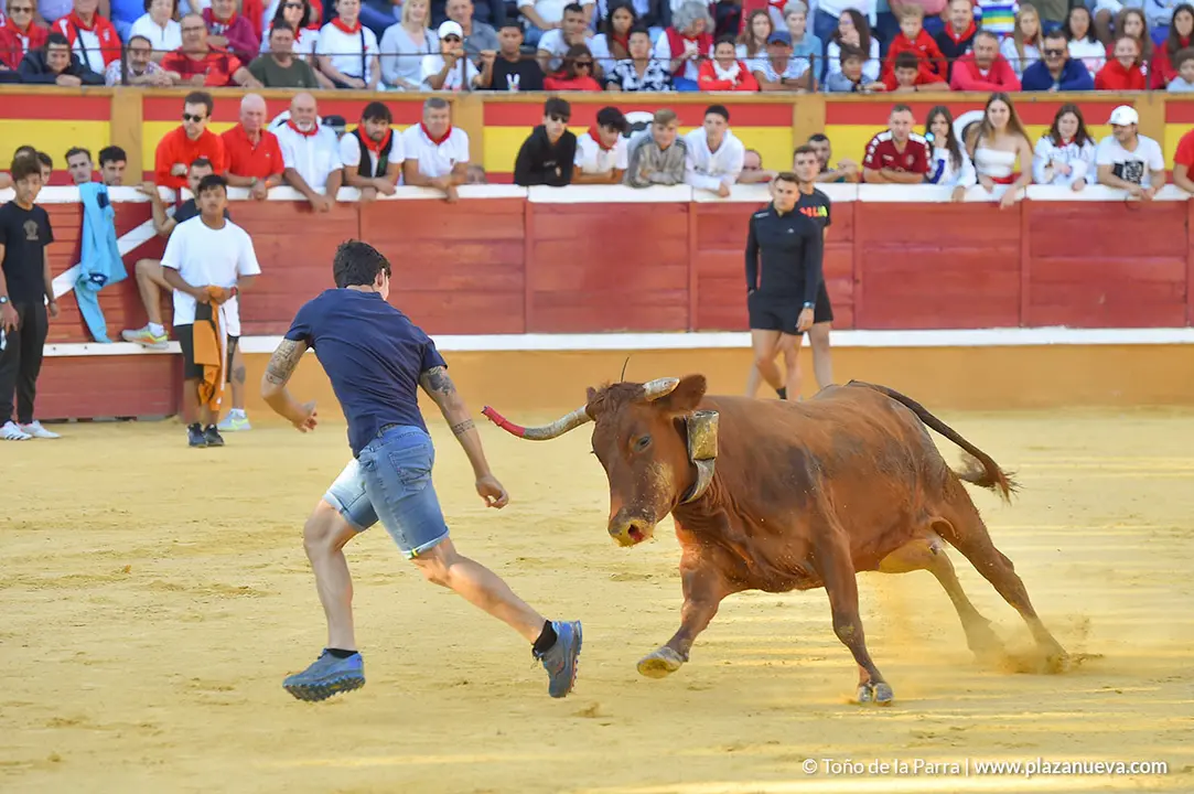 Encierro d&iacute;a 30, Fiestas de Tudela 2022 - 23