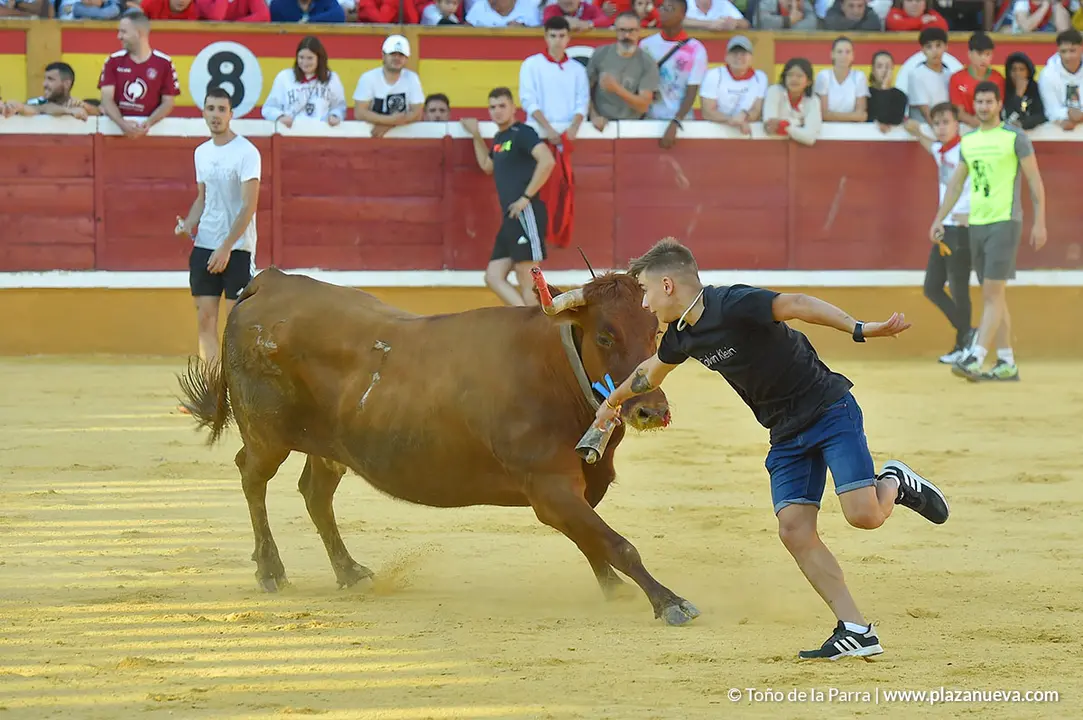 Encierro d&iacute;a 30, Fiestas de Tudela 2022 - 24