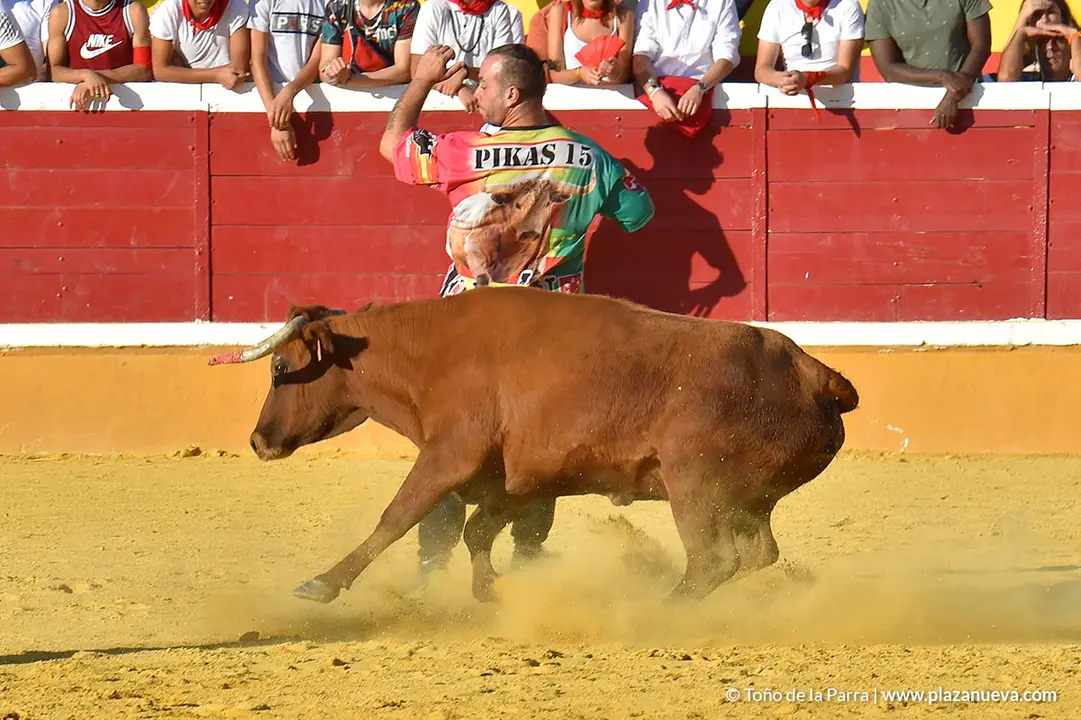 Encierro d&iacute;a 30, Fiestas de Tudela 2022 - 27