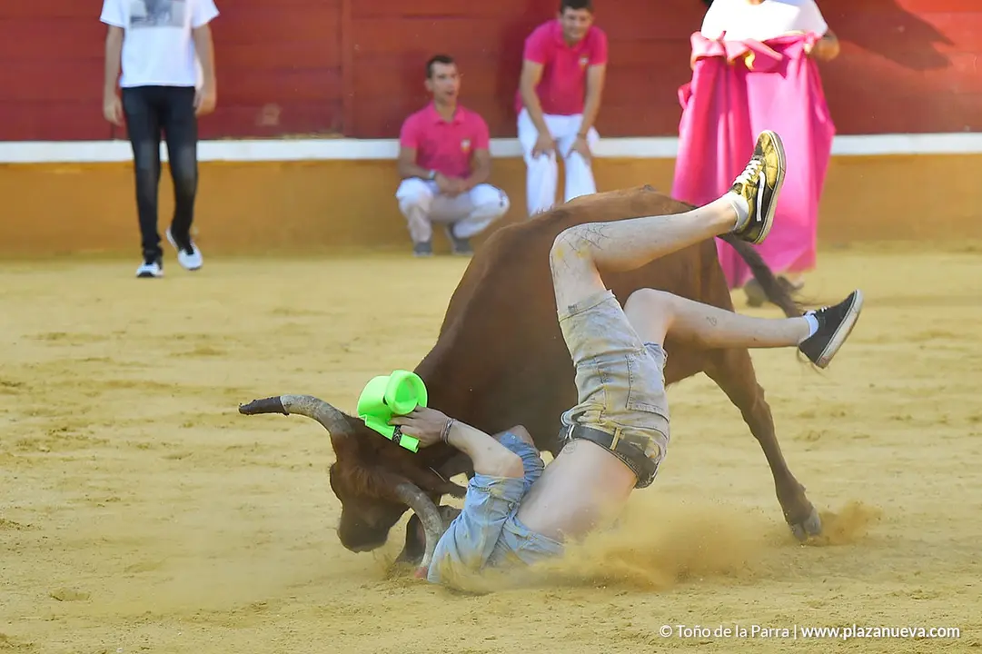 Encierro d&iacute;a 29, Fiestas de Tudela 2022 - 28