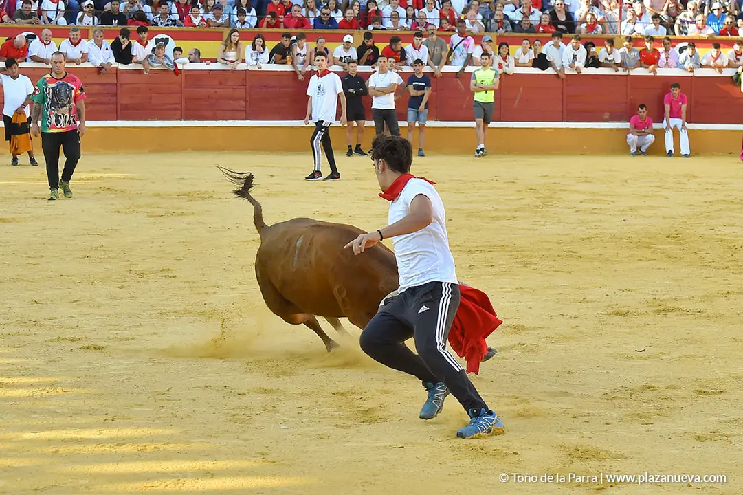Encierro d&iacute;a 30, Fiestas de Tudela 2022 - 29