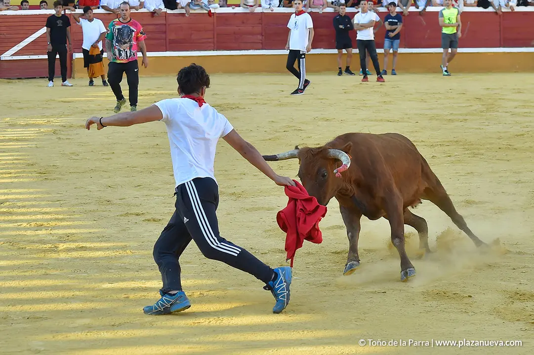 Encierro d&iacute;a 30, Fiestas de Tudela 2022 - 30