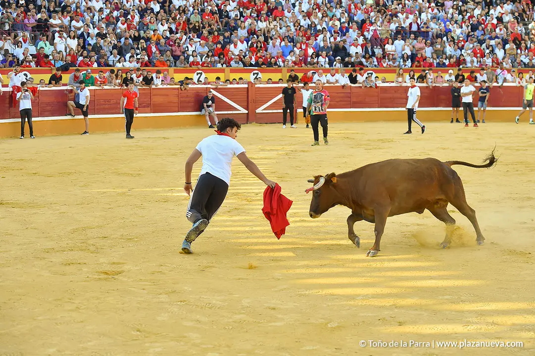 Encierro d&iacute;a 30, Fiestas de Tudela 2022 - 31