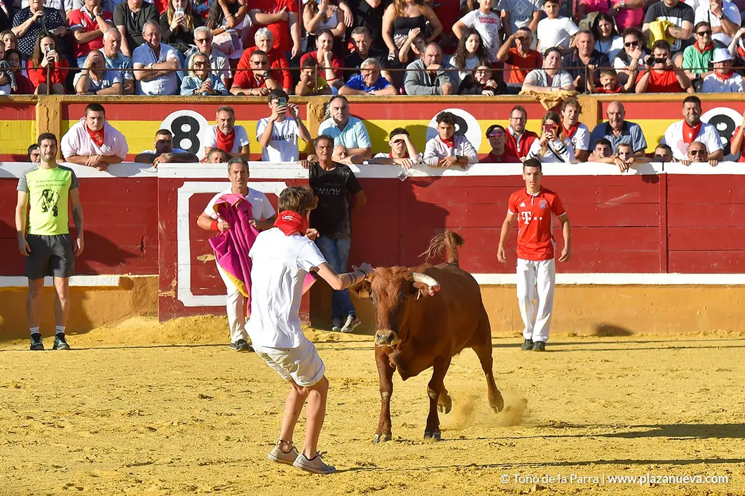 Encierro d&iacute;a 30, Fiestas de Tudela 2022 - 34