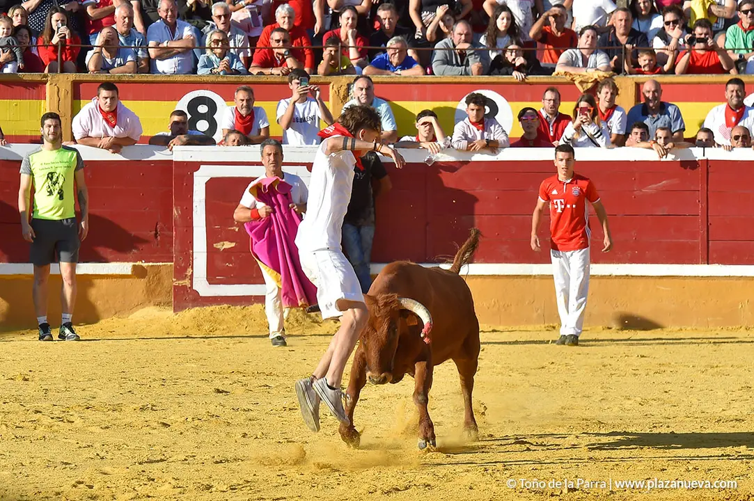 Encierro d&iacute;a 30, Fiestas de Tudela 2022 - 35