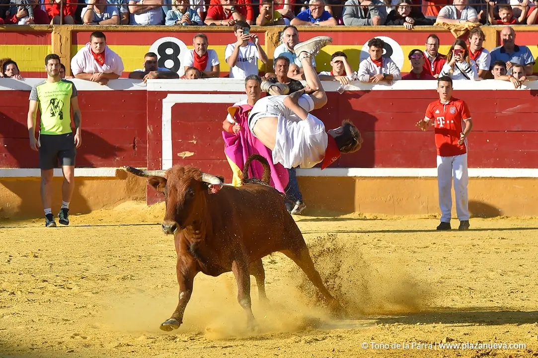 Encierro d&iacute;a 30, Fiestas de Tudela 2022 - 37