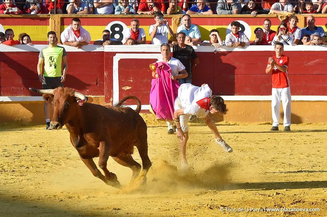 Encierro d&iacute;a 30, Fiestas de Tudela 2022 - 38