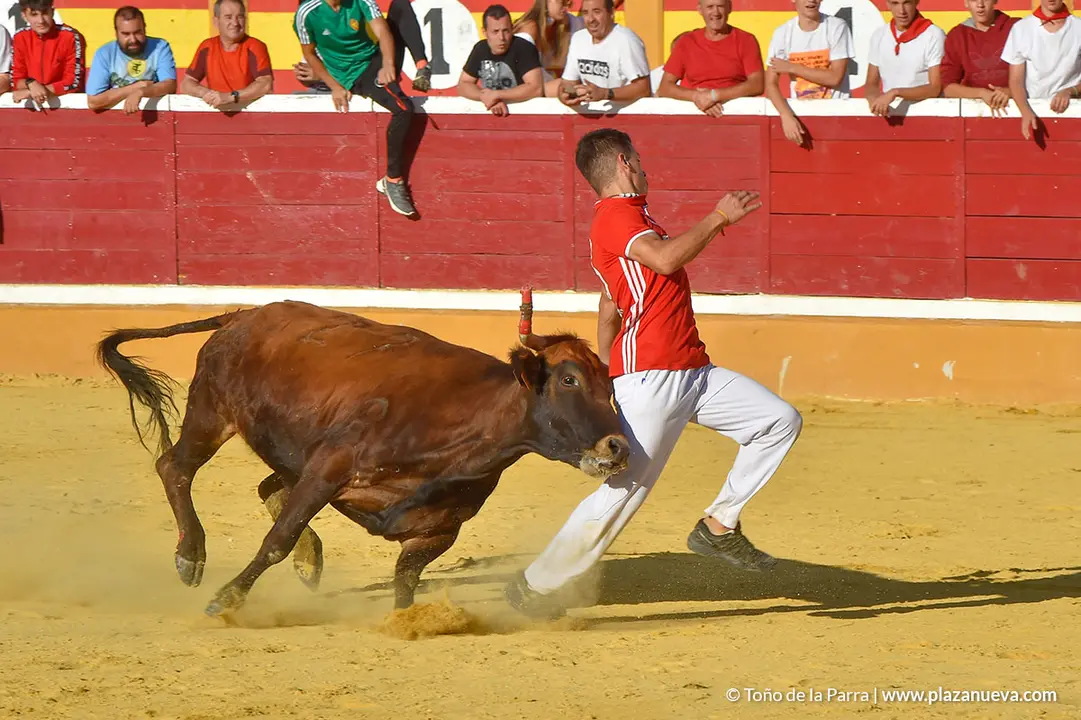 Encierro d&iacute;a 30, Fiestas de Tudela 2022 - 39