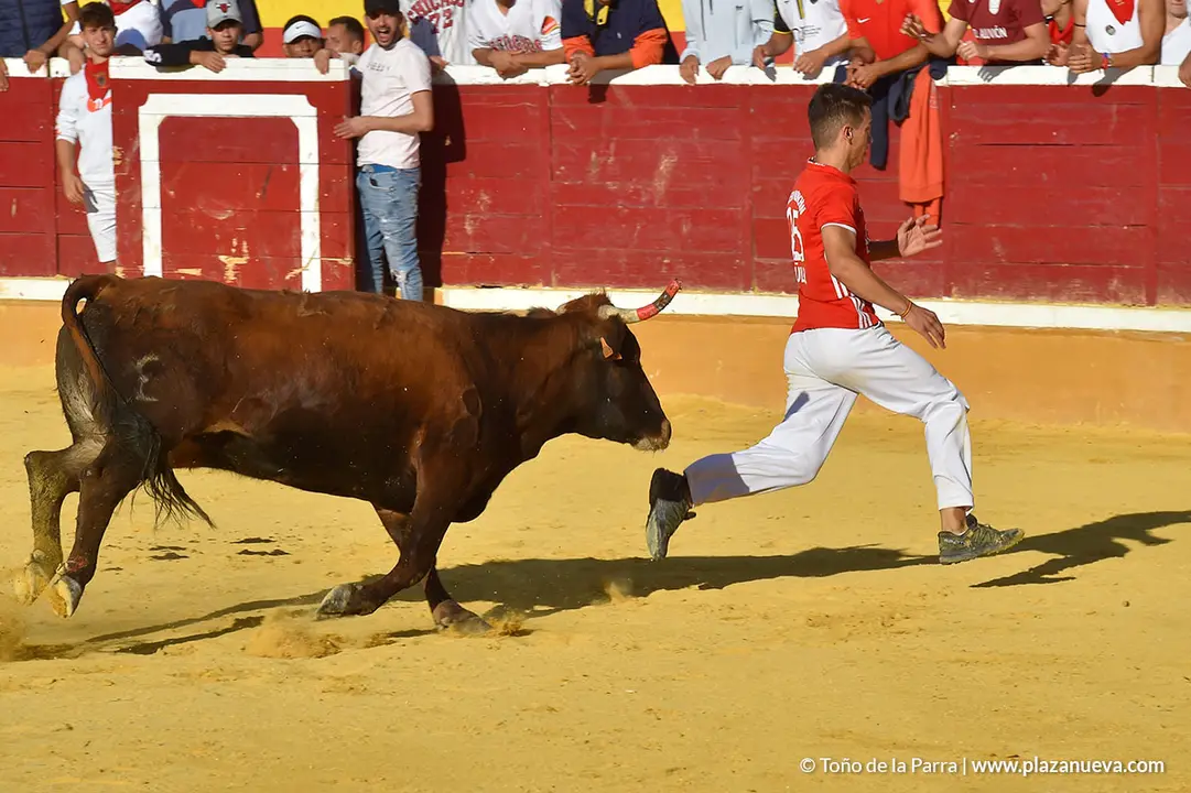 Encierro d&iacute;a 30, Fiestas de Tudela 2022 - 40