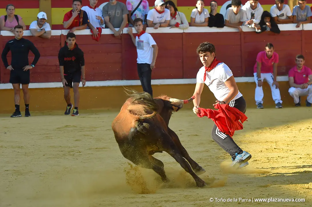 Encierro d&iacute;a 30, Fiestas de Tudela 2022 - 41