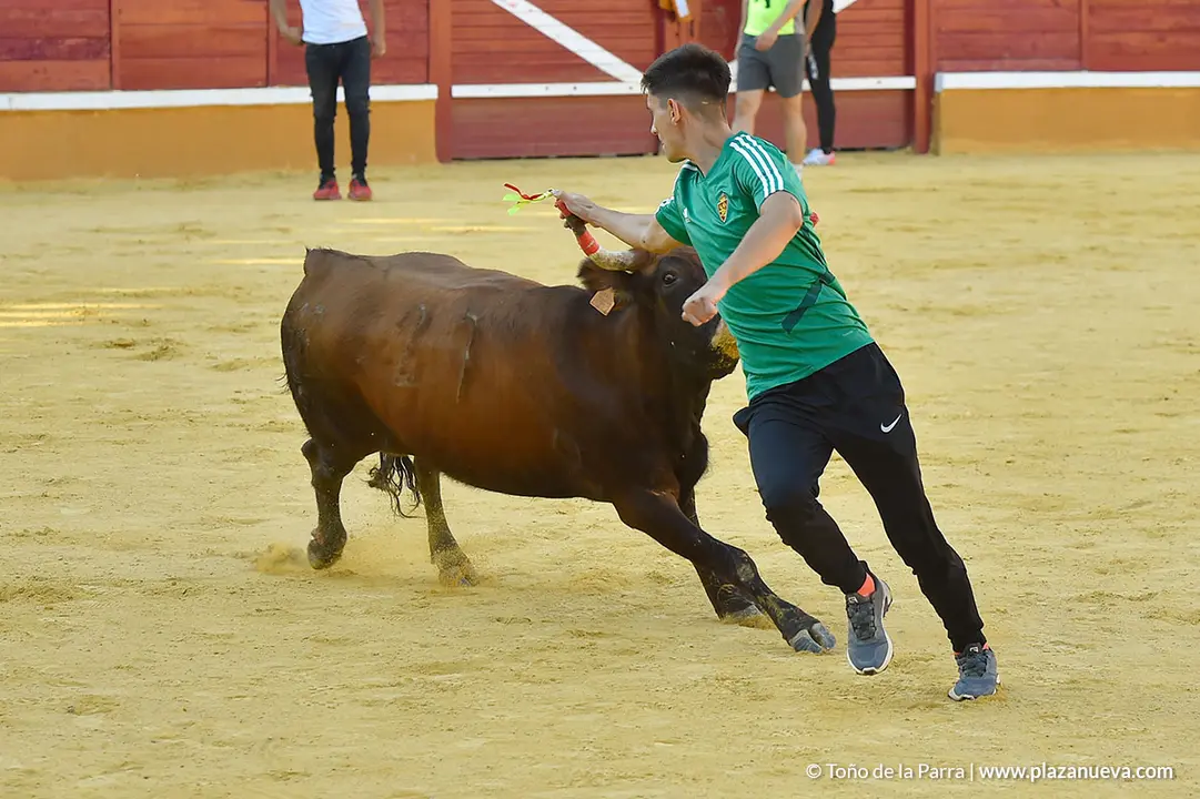 Encierro d&iacute;a 30, Fiestas de Tudela 2022 - 42
