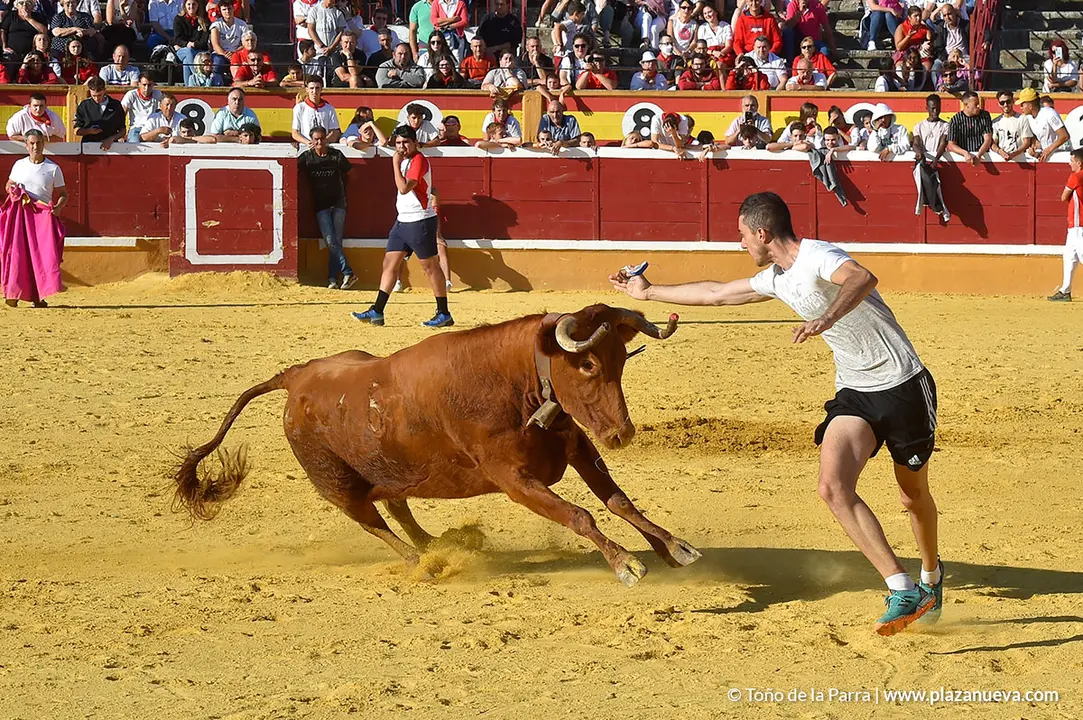 Encierro d&iacute;a 30, Fiestas de Tudela 2022 - 43