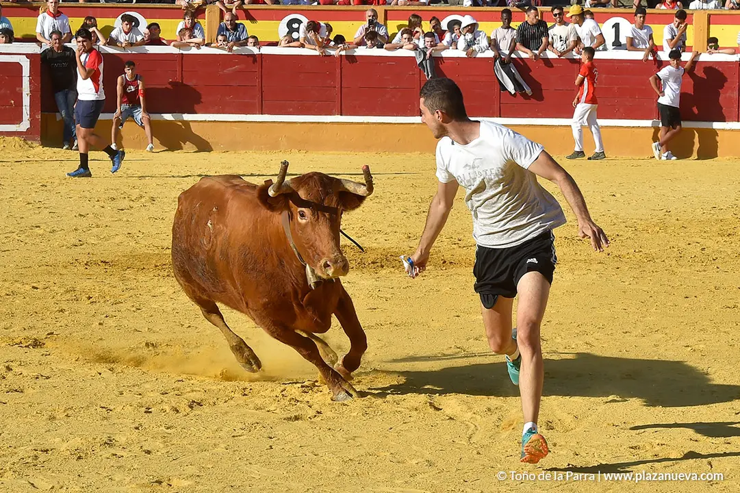 Encierro d&iacute;a 30, Fiestas de Tudela 2022 - 44