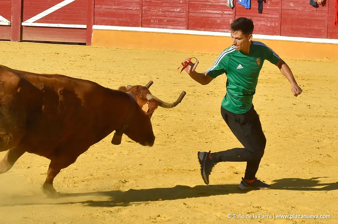 Encierro d&iacute;a 30, Fiestas de Tudela 2022 - 45