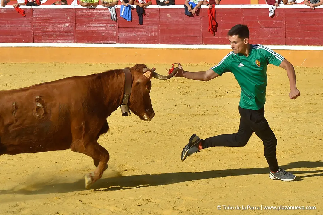 Encierro d&iacute;a 30, Fiestas de Tudela 2022 - 46