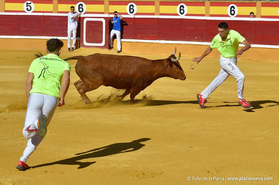 Recortadores d&iacute;a 27, Fiestas de Tudela 2022 - 04