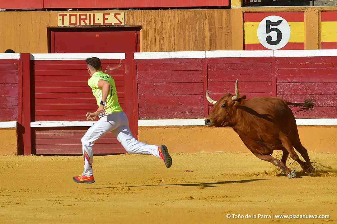 Recortadores d&iacute;a 27, Fiestas de Tudela 2022 - 05