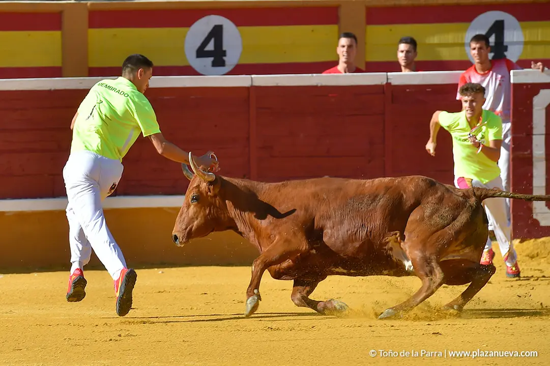 Recortadores d&iacute;a 27, Fiestas de Tudela 2022 - 06