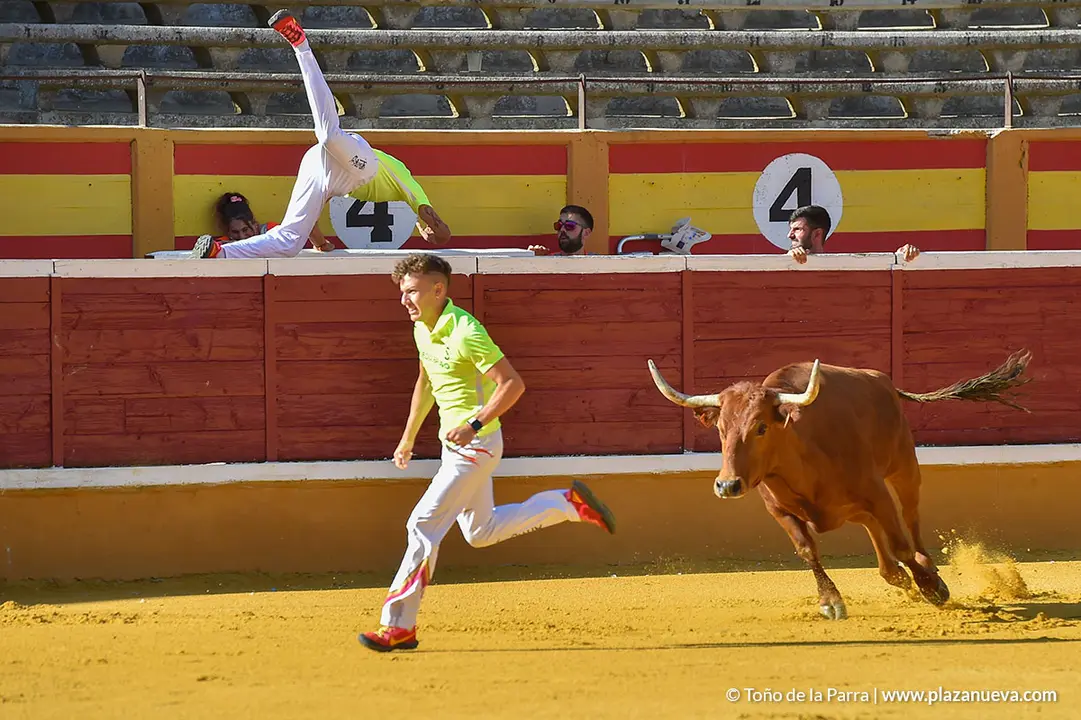 Recortadores d&iacute;a 27, Fiestas de Tudela 2022 - 07