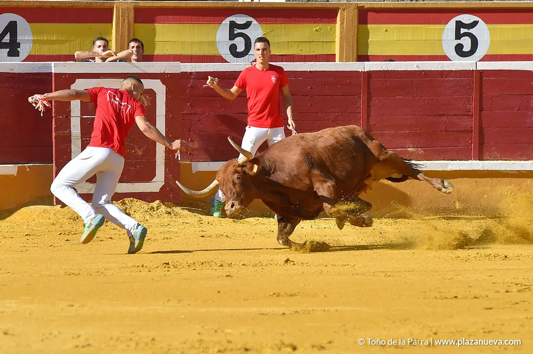 Recortadores d&iacute;a 27, Fiestas de Tudela 2022 - 09