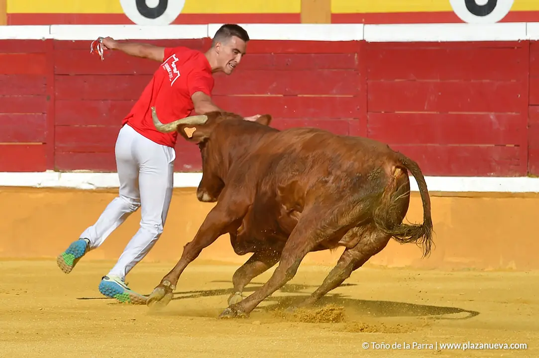 Recortadores d&iacute;a 27, Fiestas de Tudela 2022 - 10