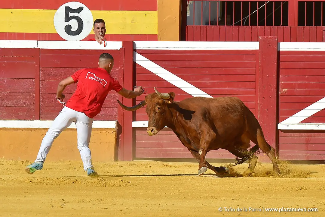 Recortadores d&iacute;a 27, Fiestas de Tudela 2022 - 11