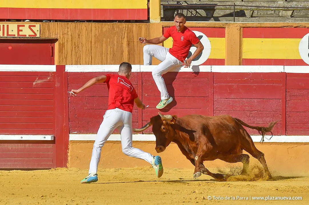 Recortadores d&iacute;a 27, Fiestas de Tudela 2022 - 12