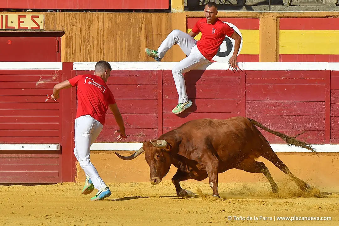 Recortadores d&iacute;a 27, Fiestas de Tudela 2022 - 13