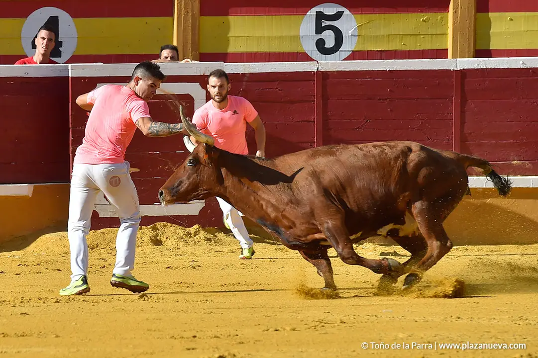 Recortadores d&iacute;a 27, Fiestas de Tudela 2022 - 14