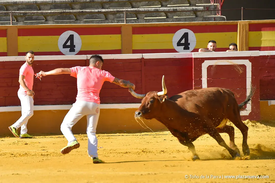 Recortadores d&iacute;a 27, Fiestas de Tudela 2022 - 15