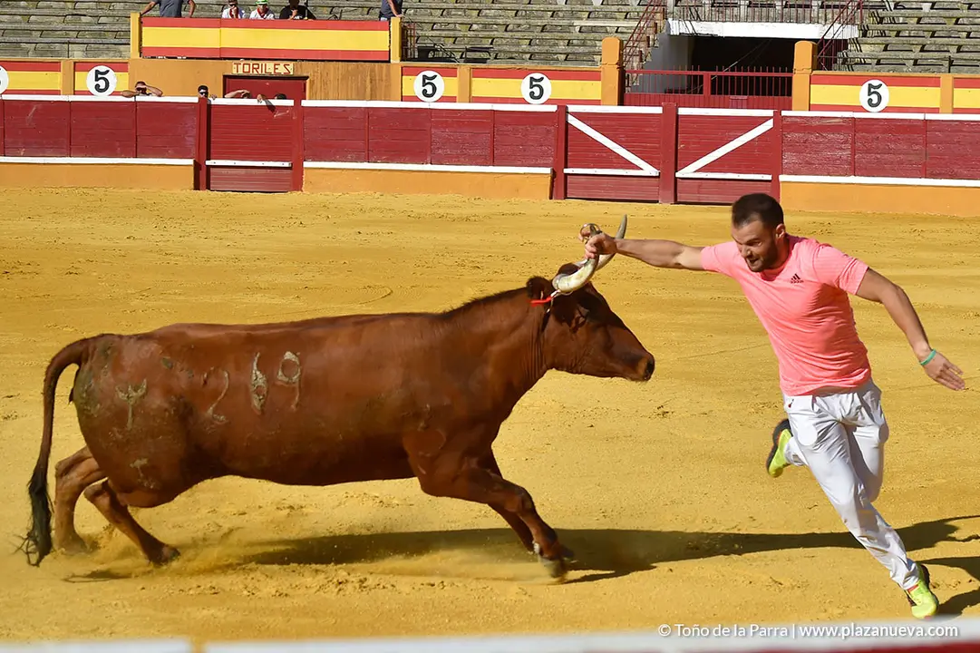 Recortadores d&iacute;a 27, Fiestas de Tudela 2022 - 16