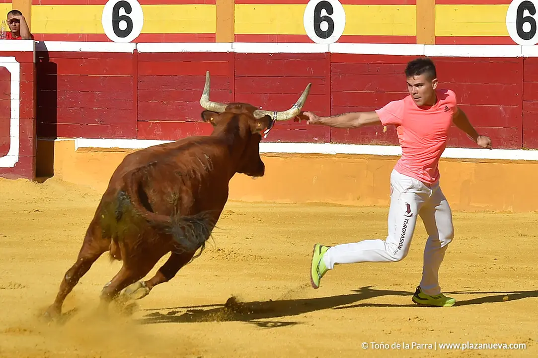 Recortadores d&iacute;a 27, Fiestas de Tudela 2022 - 17