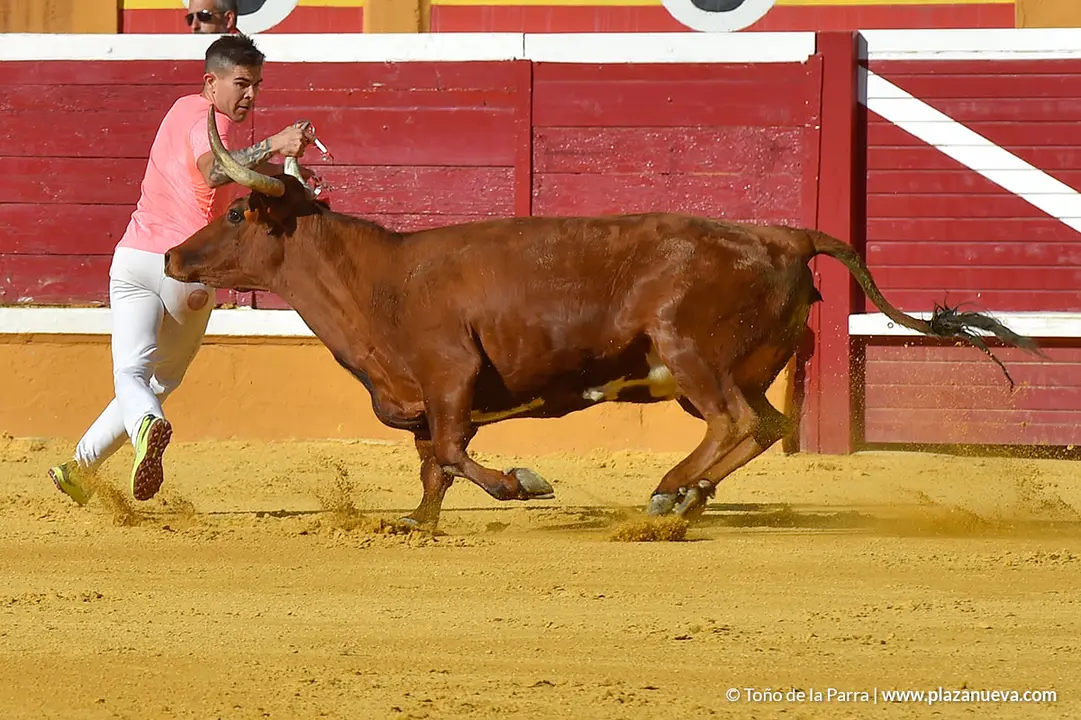 Recortadores d&iacute;a 27, Fiestas de Tudela 2022 - 19