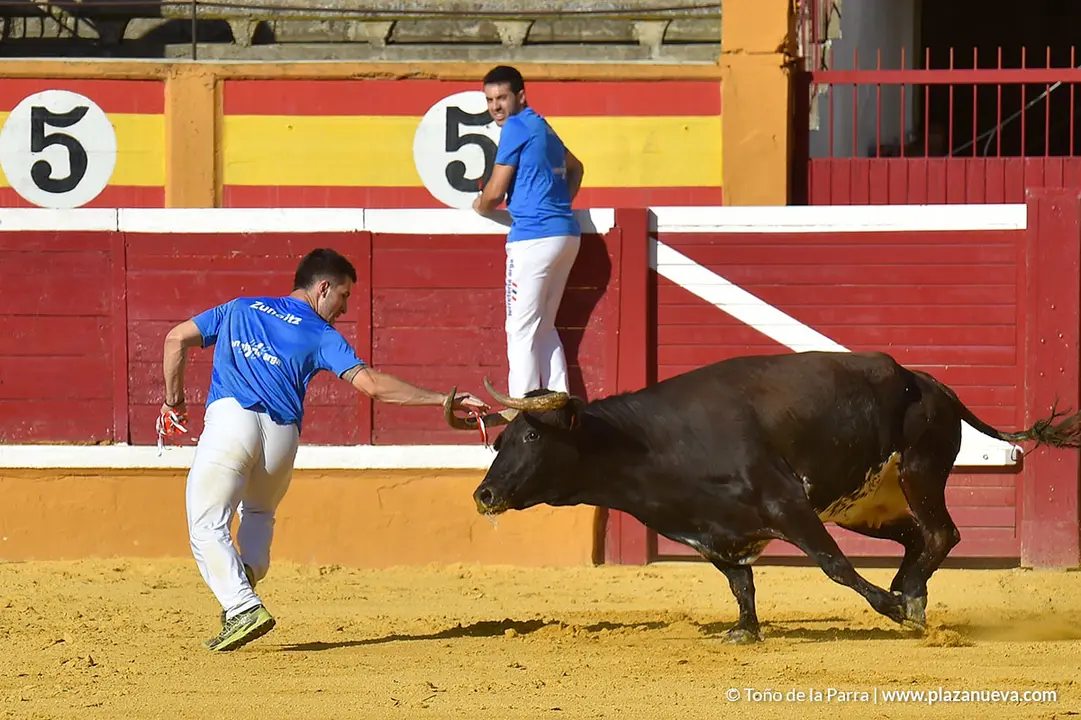 Recortadores d&iacute;a 27, Fiestas de Tudela 2022 - 21