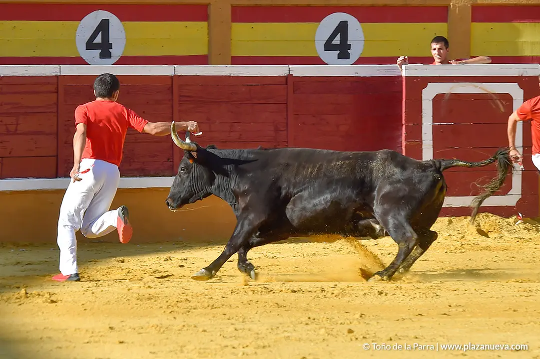 Recortadores d&iacute;a 27, Fiestas de Tudela 2022 - 23