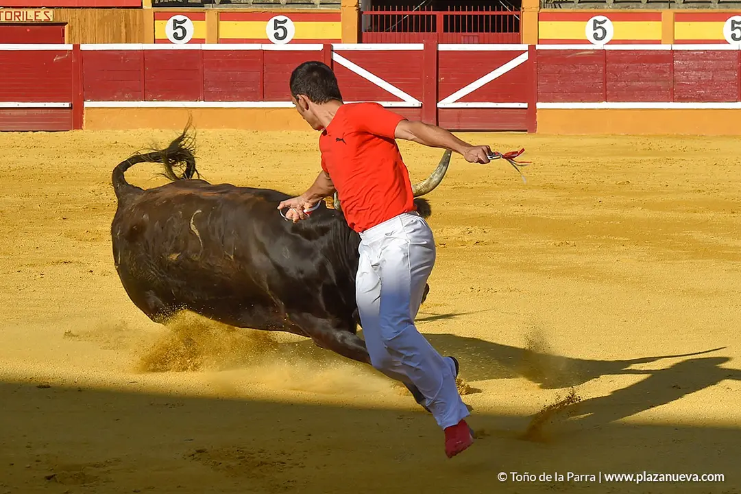 Recortadores d&iacute;a 27, Fiestas de Tudela 2022 - 24