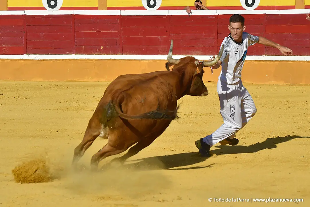 Recortadores d&iacute;a 27, Fiestas de Tudela 2022 - 26
