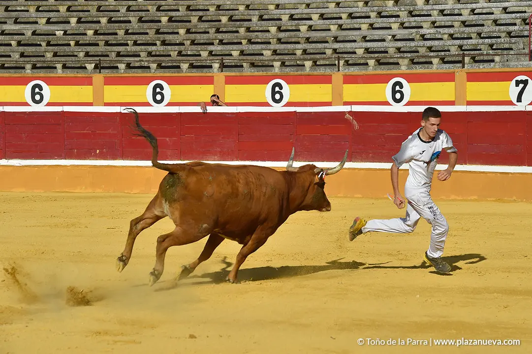 Recortadores d&iacute;a 27, Fiestas de Tudela 2022 - 27