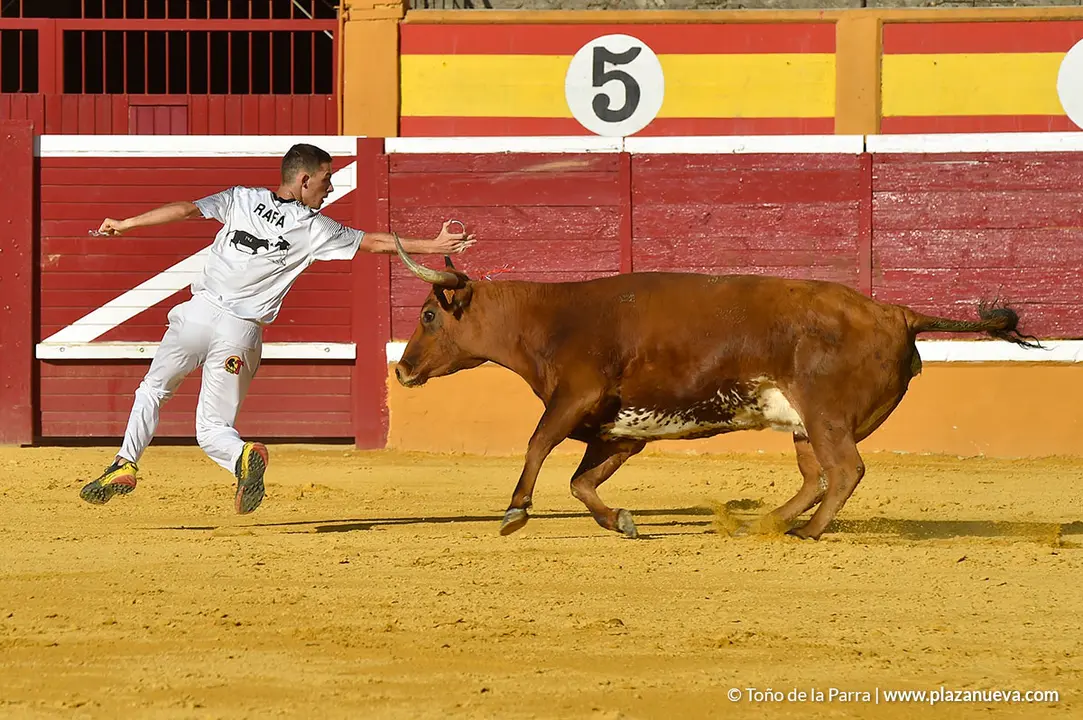 Recortadores d&iacute;a 27, Fiestas de Tudela 2022 - 28