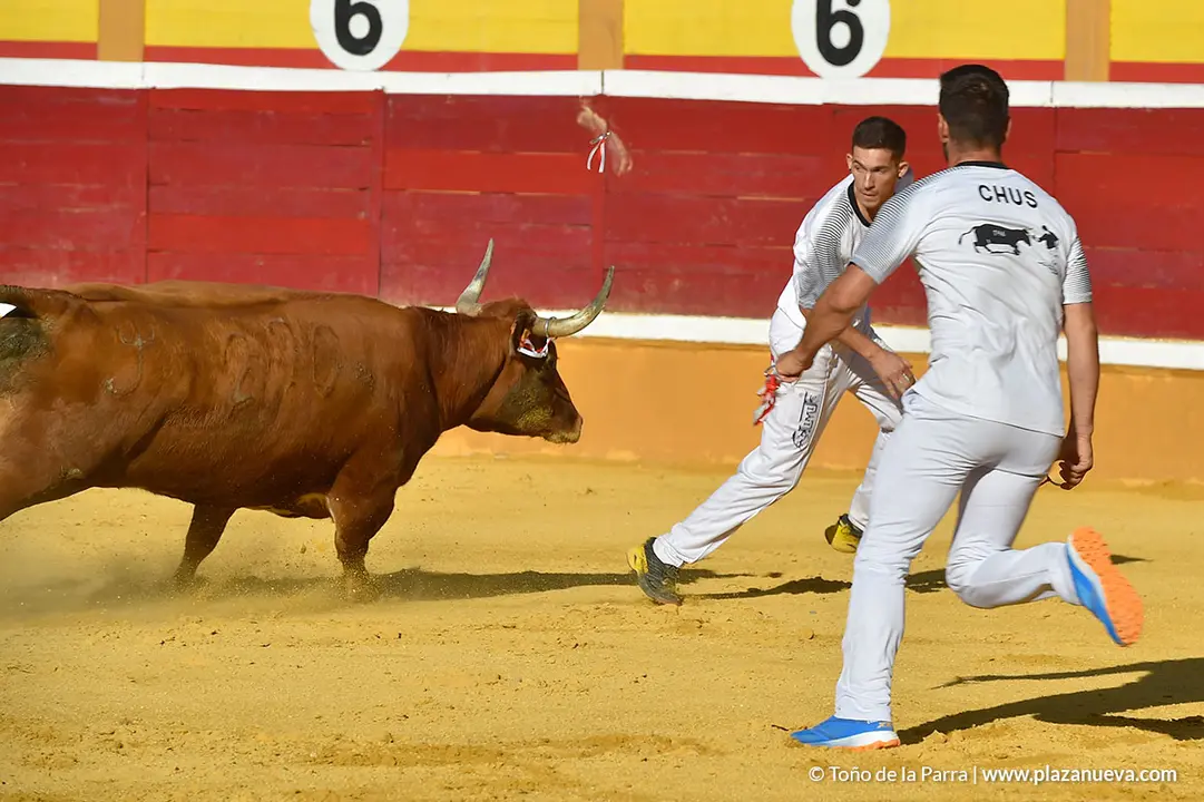 Recortadores d&iacute;a 27, Fiestas de Tudela 2022 - 29