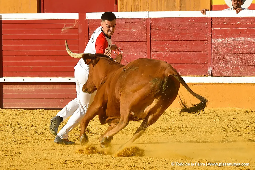 Recortadores d&iacute;a 27, Fiestas de Tudela 2022 - 30
